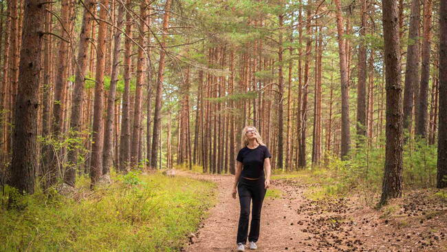 Forest baths, an adult woman walks through a pine forest, restoring health and psyche in nature