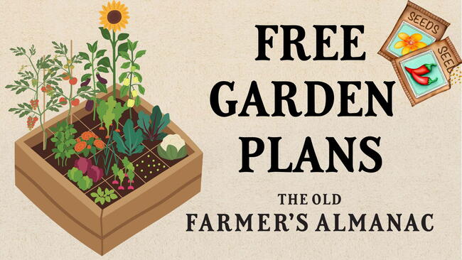 Free Garden Layouts Plans Library