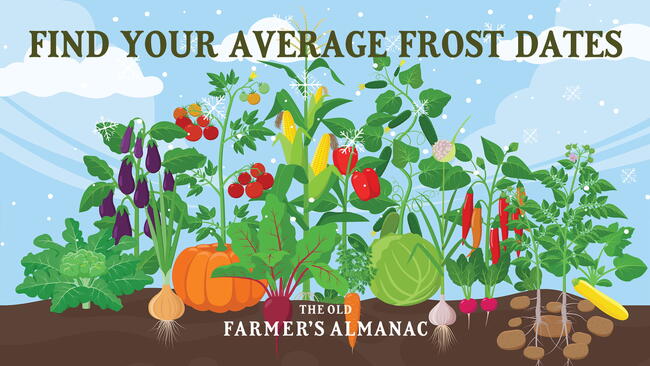 Find Your Average Frost Dates