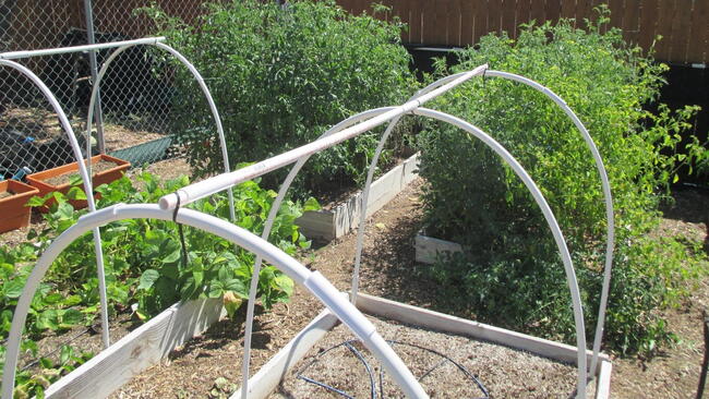 Southwestern Garden Beds
