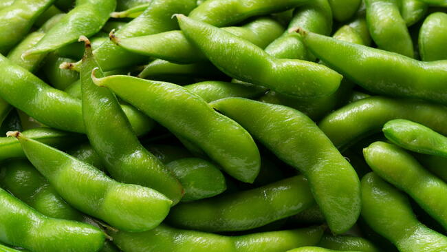 harvested edamame