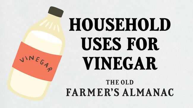 household uses for vinegar, white vinegar jar illustration