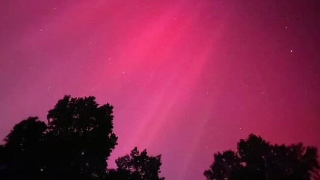 pink auroras
