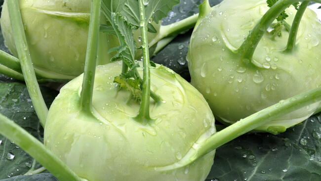 close-up of harvested kohlrabi