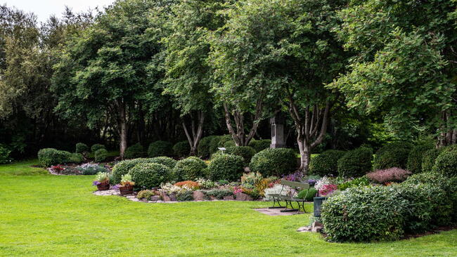 A garden landscape design featuring lawns, trees, evergreen topiary bushes and flower bed