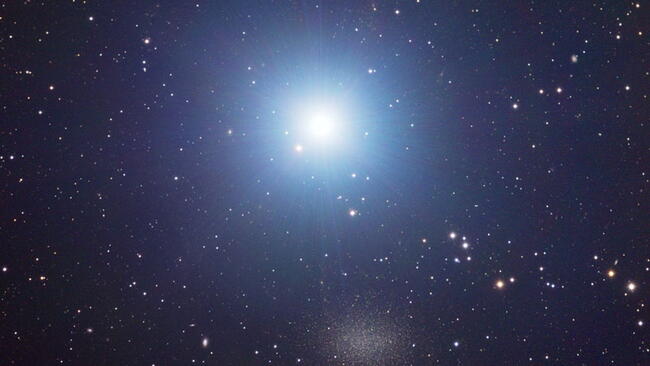 regulus