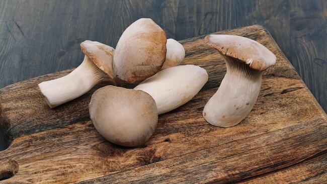 harvested and clean mushrooms on a wooden board
