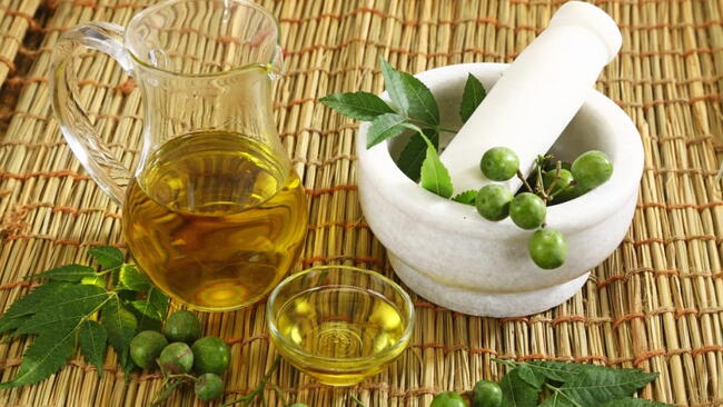 Neem oil and neem berries in a mortar and pestle 