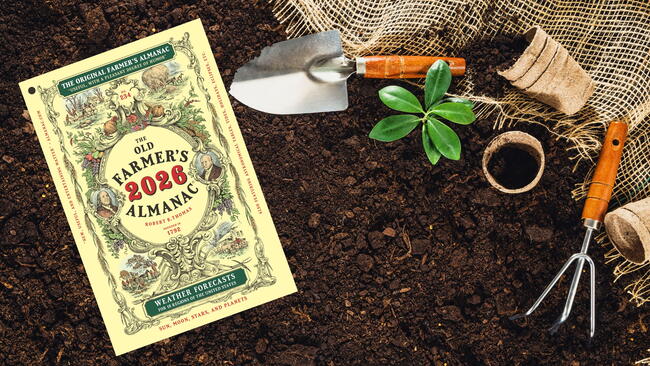 2026 old farmer's almanac in the garden with garden tools