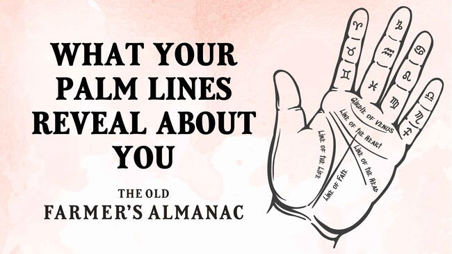 what palm lines reveal about you, palmistry infographic