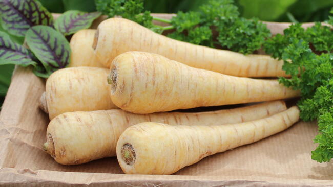 clean parsnips on paper