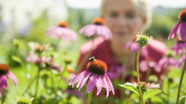 Woman looking at bee on flower
