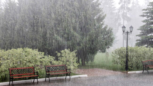 rainstorm on a summer day