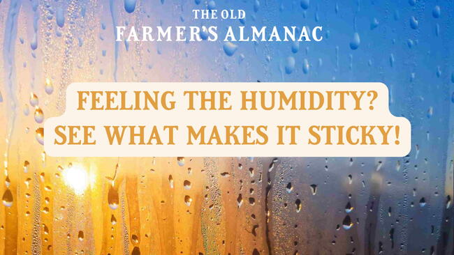 Relative humidity
