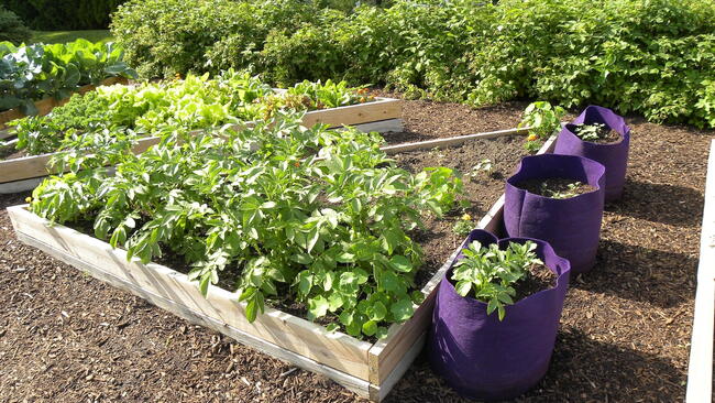 River Road Garden Bed