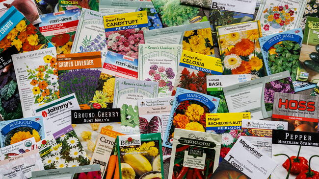 A variety of seed packets 