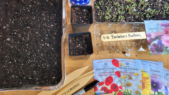 Fertilizer in various containers and pots 