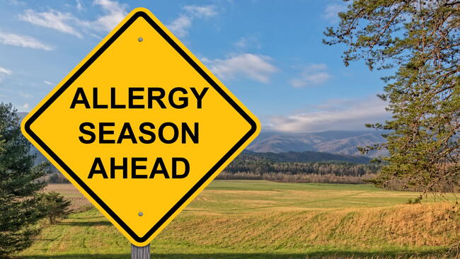 Yellow warning-style sign saying "Allergy Season Ahead", with a field in the background