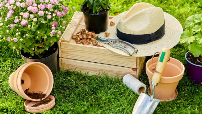 gardening and planting concept - garden tools, wooden box and flowers in pots at summer