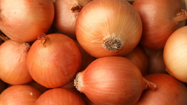 Many ripe onion bulbs as background, closeup. yellow onions