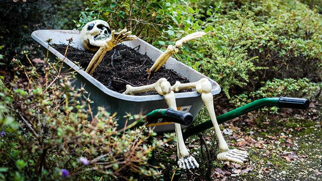 Spooky Skeleton