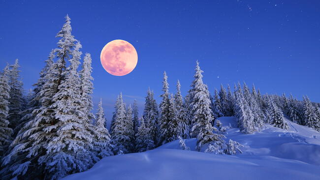 Full Moon rising at night over snowy landscape and evergreens