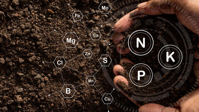Soil NPK 
