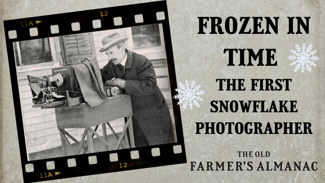 Wilson Bentley, the first snowflake photographer
