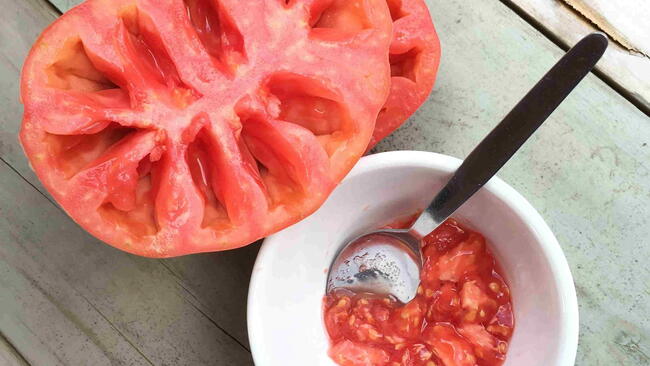 Seed saving heirloom open pollinated tomato