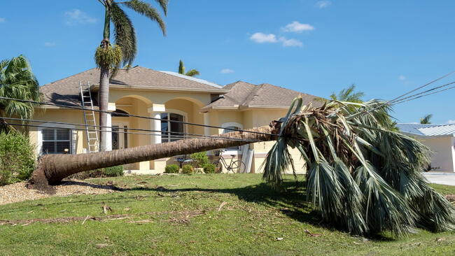 Electricity outage as consequences of natural disaster. Damaged power lines after hurricane wind broke tree limbs in Florida suburban area