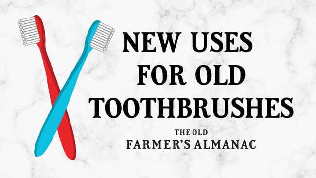 new uses for old toothbrushes, illustration of red toothbrush and blue toothbrush on a tile background
