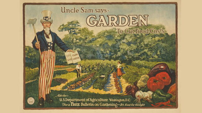 victory garden artwork with uncle sam growing a garden 