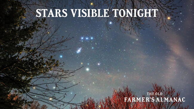 The Orion constellation shining above a rural landscape at night, with bright stars clearly visible in the sky.