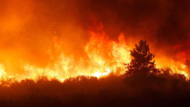 Intense flames from a massive forest fire. Flames light up the night as they rage thru pine forests and sage brush. The Carlton Complex wild fire was Washington state's largest fire in history.