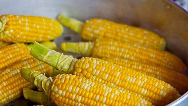 corn cobs