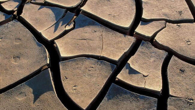 Dry, Scorched Earth on the ground