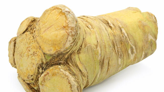 Horseradish Root