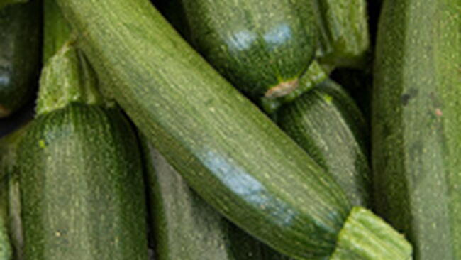 zucchini
