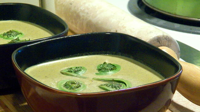 Cream of Fiddleheads Soup