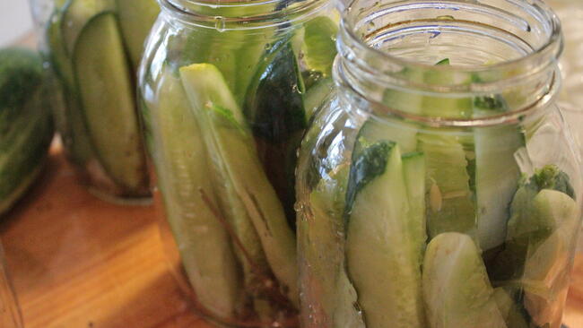 Crunchy Dill Pickles