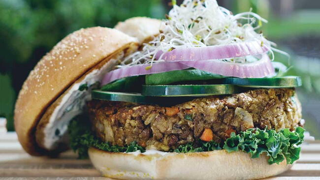 Curried Cashew and Red Lentil Patties With Curried Mayo Sauce