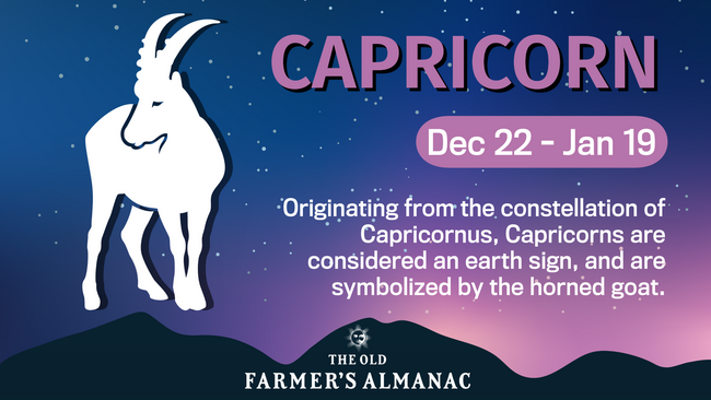 Capricorn Zodiac Sign