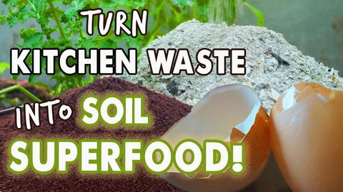 Embedded thumbnail for How to Use Kitchen Scraps as Fertilizer: Coffee Grounds, Eggshells, Banana Peels &amp; More