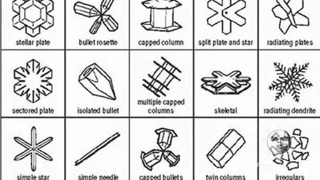 Embedded thumbnail for No Two Snowflakes Are Alike