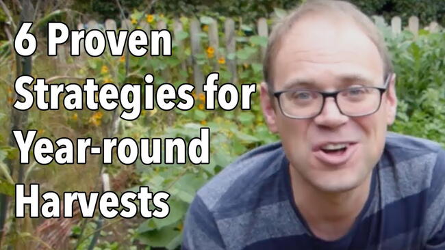 Embedded thumbnail for How to Create a Year-Round Vegetable Garden