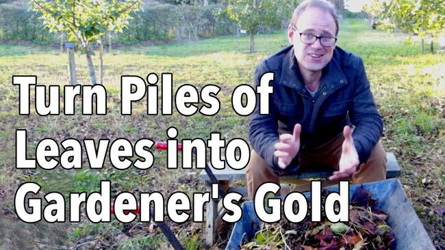 Embedded thumbnail for How to Make Leaf Mold