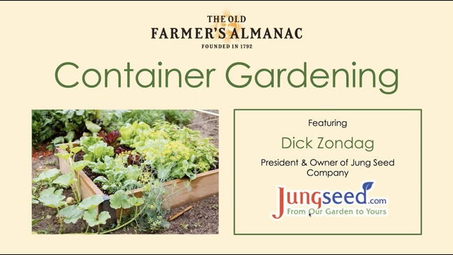 Embedded thumbnail for Container Gardening Essentials Webinar