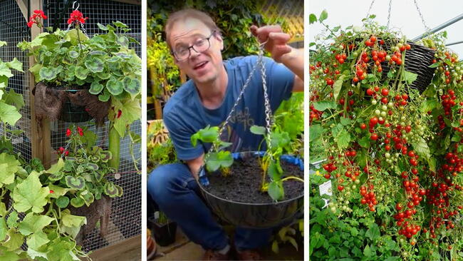 Embedded thumbnail for How to Grow Vegetables in Hanging Baskets (Easy Beginner Guide)