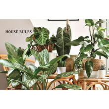 Houseplant Gardener's Handbook House Rules
