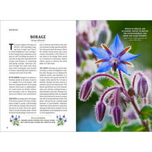 Guide to Herbs Sample 1